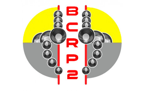 BCRP 2
